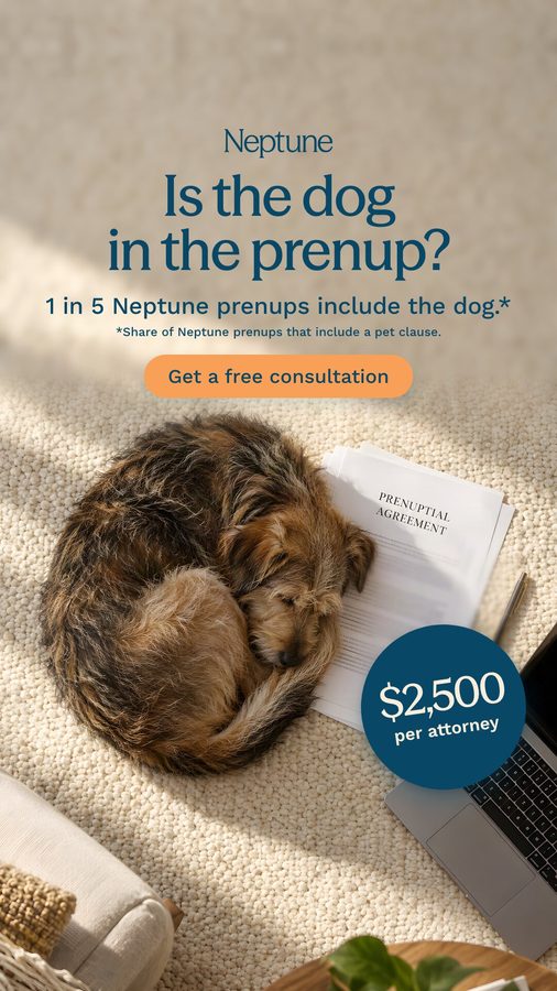 Neptune 9:16 Stories and Reels ad made by SelfMade